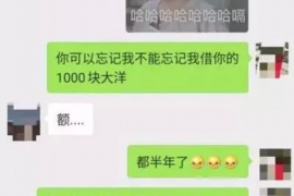 宜阳宜阳的要账公司在催收过程中的策略和技巧有哪些？